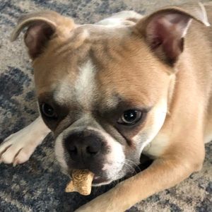 Meet your Posher, Ken